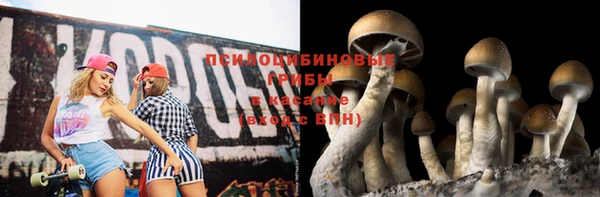 эйфоретик Баксан