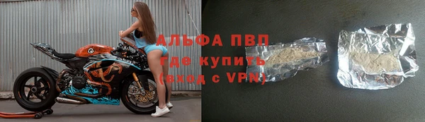 эйфоретик Баксан