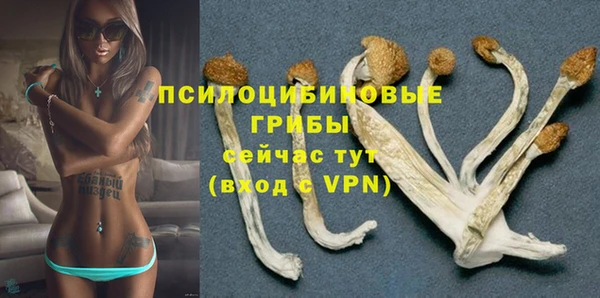 эйфоретик Баксан