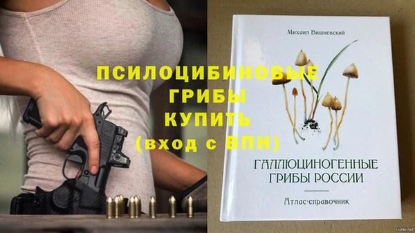 эйфоретик Баксан