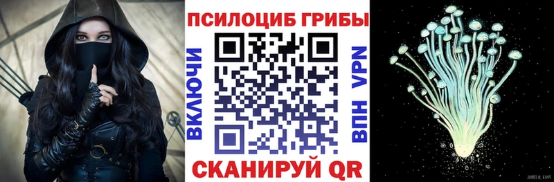 Псилоцибиновые грибы Psilocybine cubensis  Суворов 